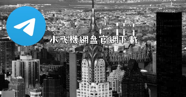 小飞機網盘官網下載