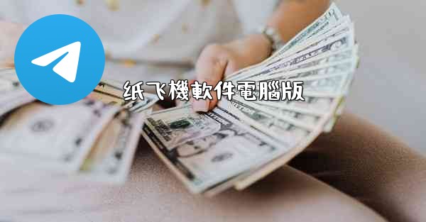 纸飞機軟件電腦版