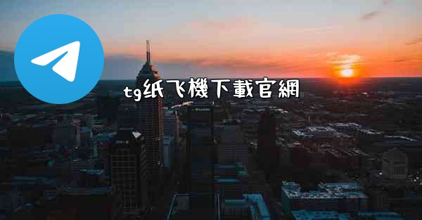 tg纸飞機下載官網