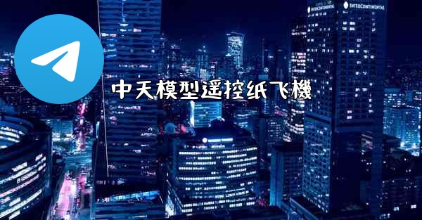 中天模型遥控纸飞機