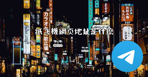纸飞機網页地址是什麼