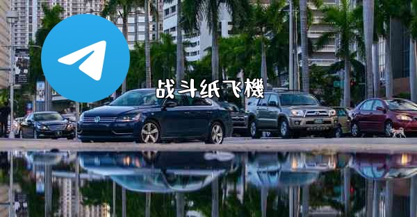 <b>战斗纸飞機</b>