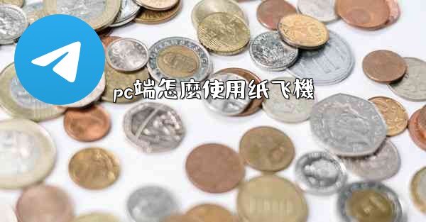 pc端怎麼使用纸飞機