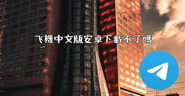 飞機中文版安卓下載不了嗎