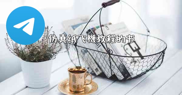 仿真纸飞機教程的书