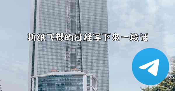 折纸飞機的过程写下來一段话