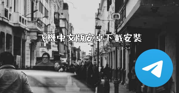 飞機中文版安卓下載安裝