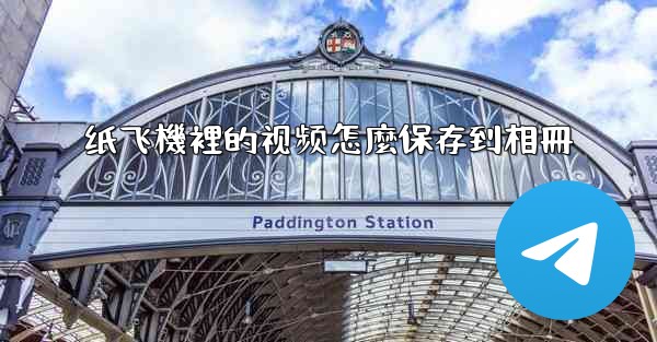 纸飞機裡的视频怎麼保存到相冊