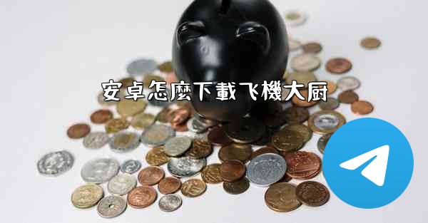 安卓怎麼下載飞機大厨