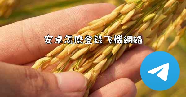 安卓怎麼登錄飞機網絡