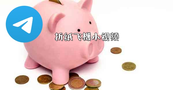 折纸飞機小视频