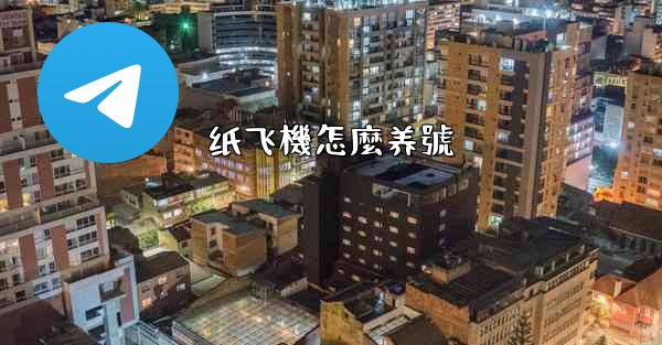 纸飞機怎麼养號