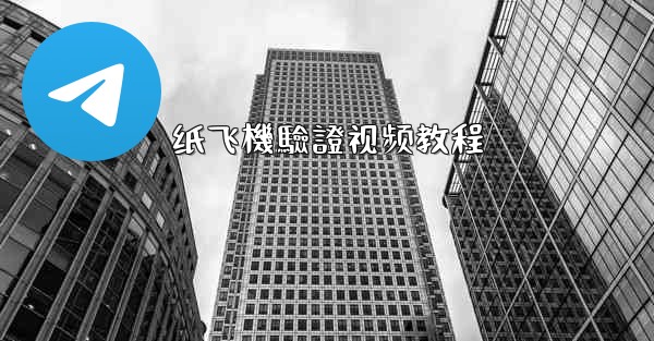 纸飞機驗證视频教程