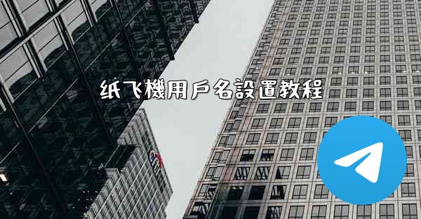 纸飞機用戶名設置教程