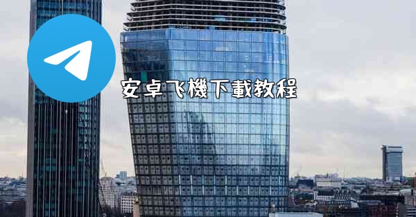 安卓飞機下載教程