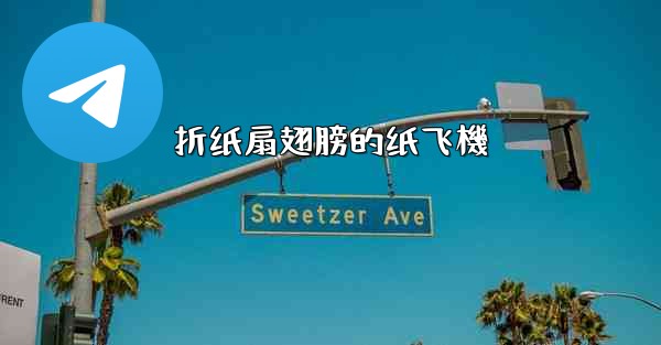 折纸扇翅膀的纸飞機