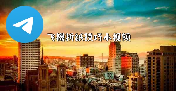 飞機折纸技巧小视频