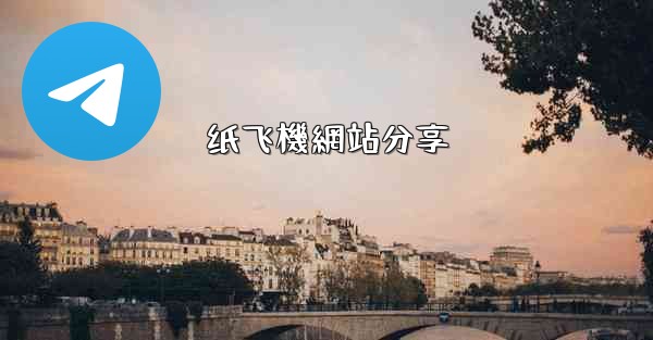 纸飞機網站分享