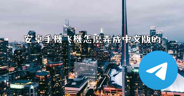 安卓手機飞機怎麼弄成中文版的