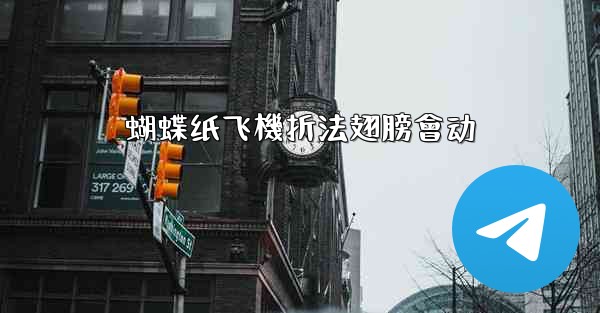 蝴蝶纸飞機折法翅膀會动