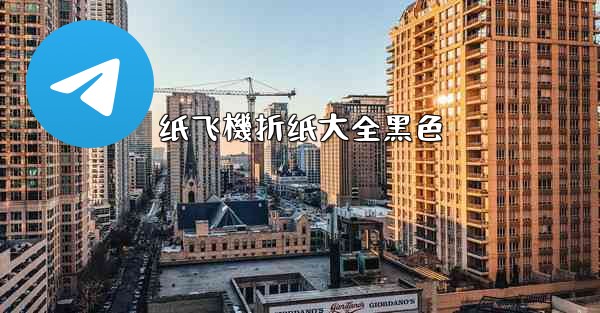 纸飞機折纸大全黑色