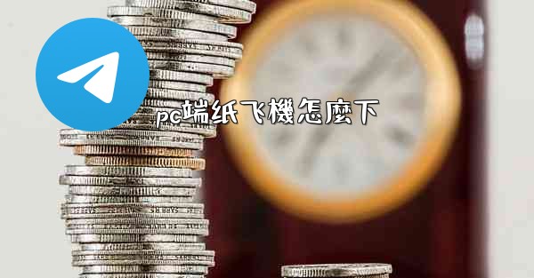 <b>pc端纸飞機怎麼下</b>