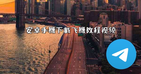 安卓手機下載飞機教程视频