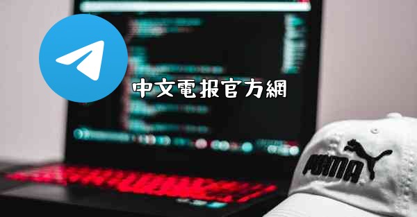 中文電报官方網