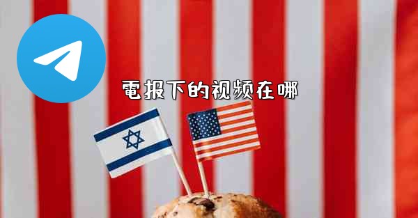 電报下的视频在哪
