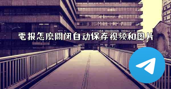 電报怎麼關闭自动保存视频和图片