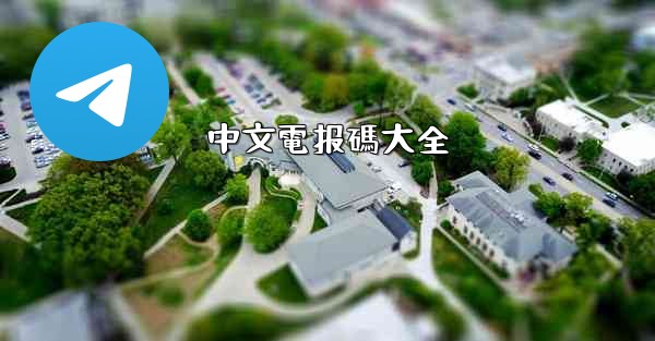 中文電报碼大全