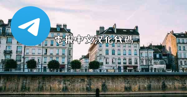 電报中文汉化代碼