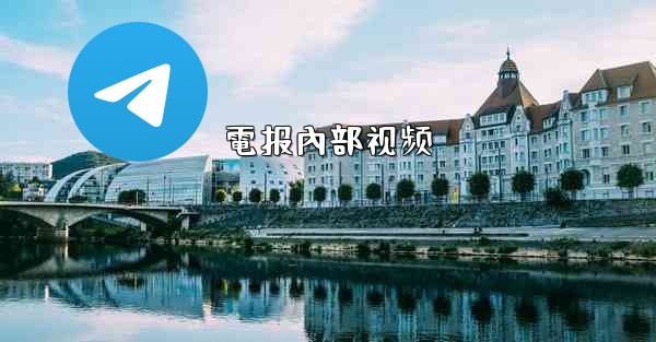 電报內部视频