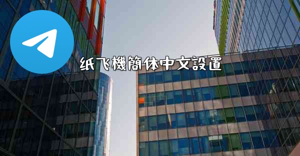 纸飞機簡体中文設置