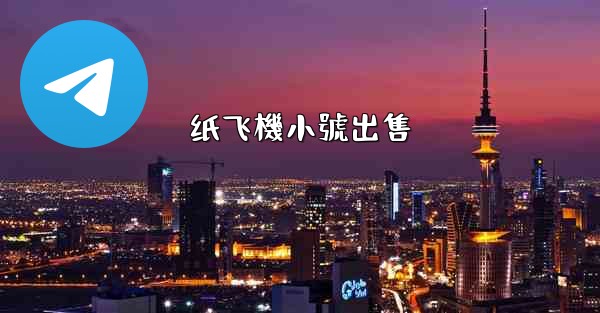 纸飞機小號出售