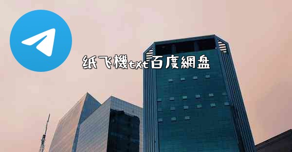 纸飞機txt百度網盘