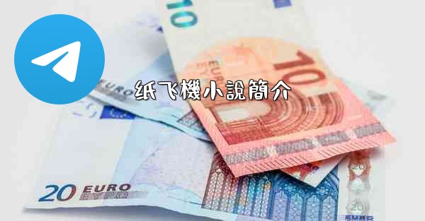 纸飞機小說簡介