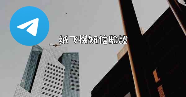 纸飞機短信驗證