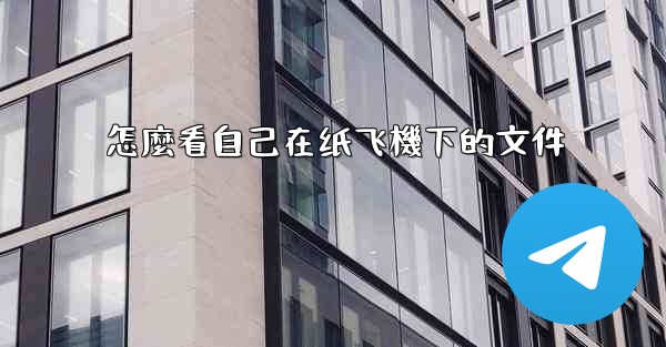 怎麼看自己在纸飞機下的文件