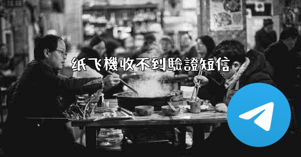 纸飞機收不到驗證短信