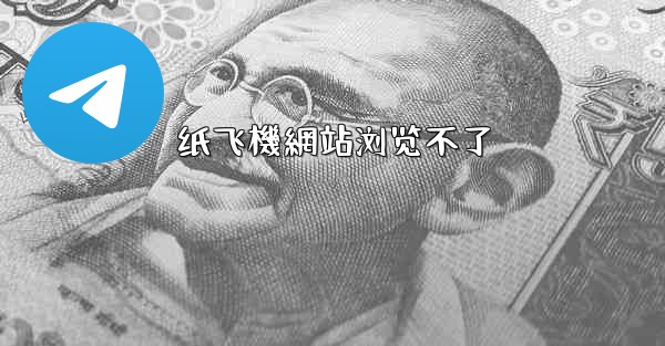 纸飞機網站浏览不了