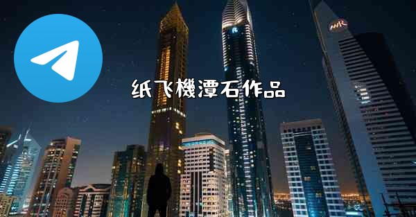 纸飞機潭石作品