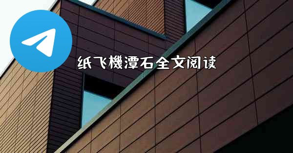 纸飞機潭石全文阅读