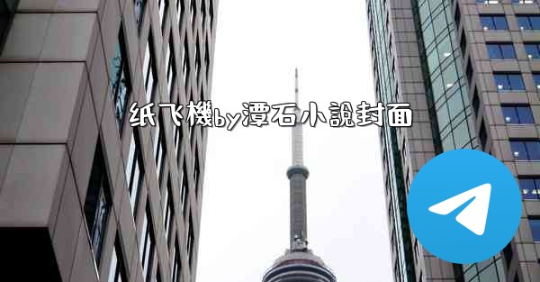 纸飞機by潭石小說封面