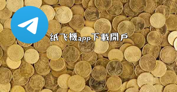 纸飞機app下載開戶