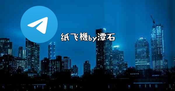 纸飞機by潭石