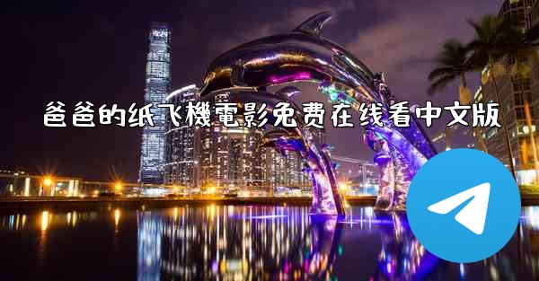 爸爸的纸飞機電影免费在线看中文版