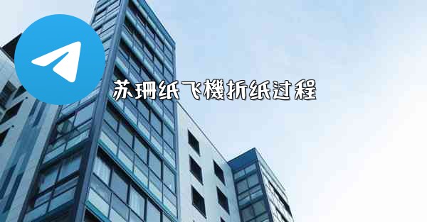 苏珊纸飞機折纸过程