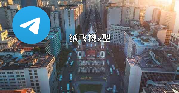 纸飞機x型