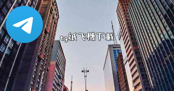 tg纸飞機下載